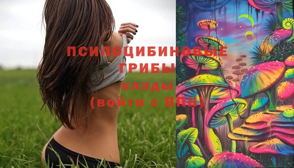 2c-b Богородицк
