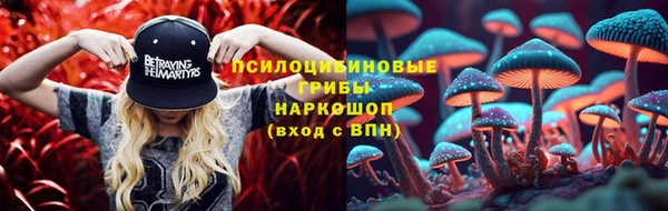 2c-b Богородицк